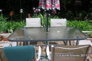 The patio table and chairs