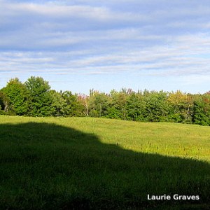 The view from Esther's house