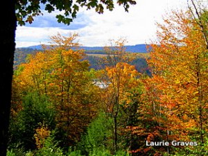 A glimmer of Torsey Lake