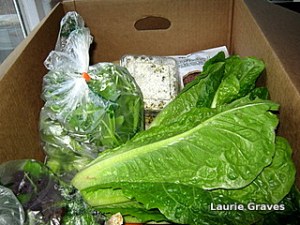 Fresh lettuce and other veggies