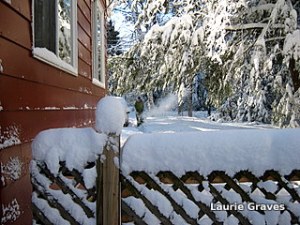 Big green and little green