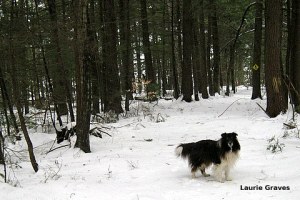 The dog and I went for a walk before the weather got too bad.