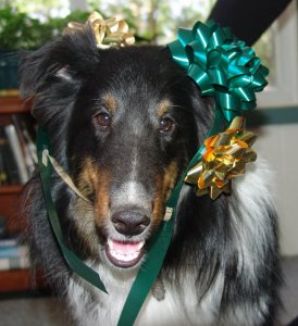 Liam all decked out for a birthday