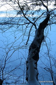 Blue shadows on the Narrows