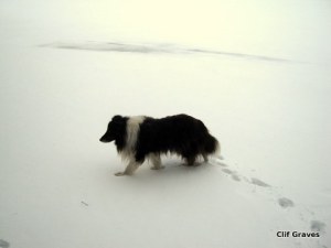 Black and white on white