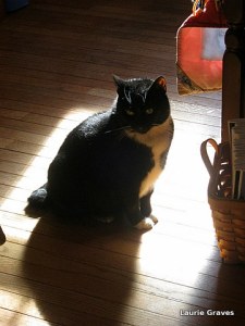 Dear little Ms. Watson