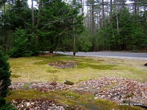 The newly-raked front yard