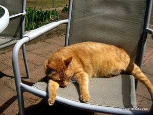 Sherlock doing his job