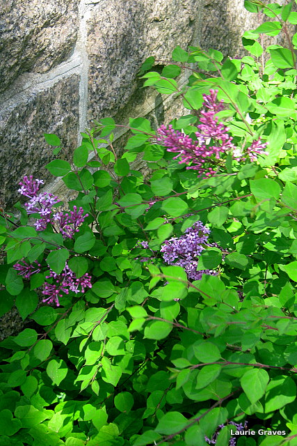 By the old front entrance