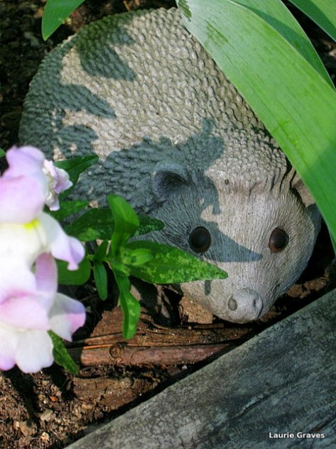 Another little guardian of the garden.