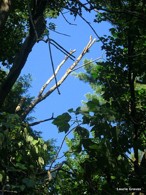 A bit of bright blue sky above the patio