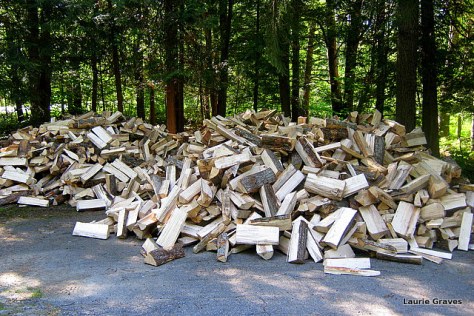 Nature's gym, waiting for us