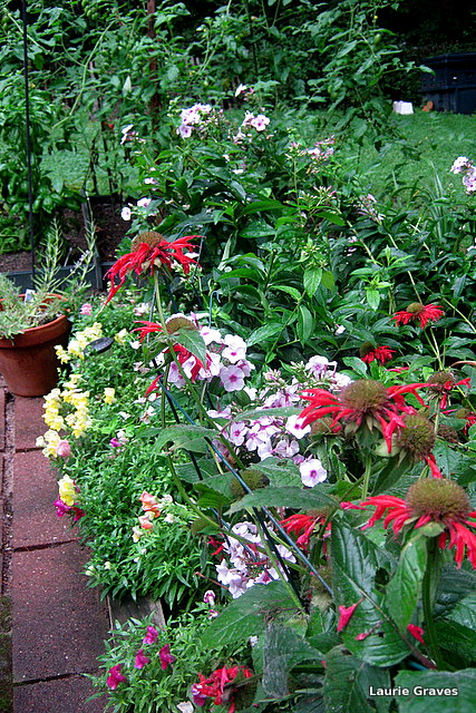 The tidy garden. More or less.