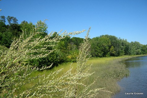 By the Kennebec River