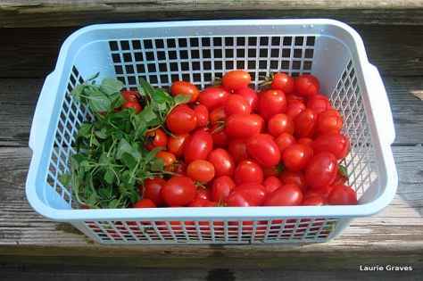 Tomatoes (with oregano) despite it all