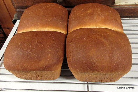 First bread, a little too dark