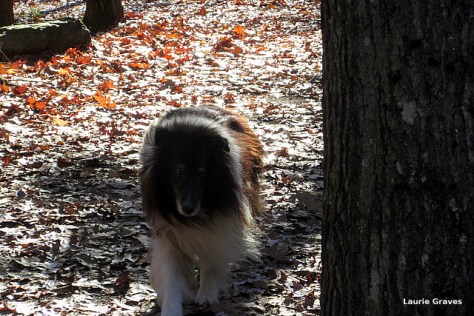 Liam, all bundled up, on a previous frosty walk