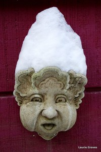 Gideon, little guardian of the yard, with a snow cap