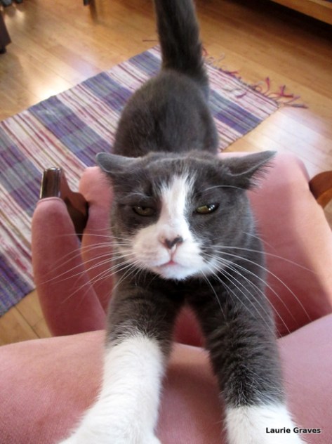 Enough with pictures, already!