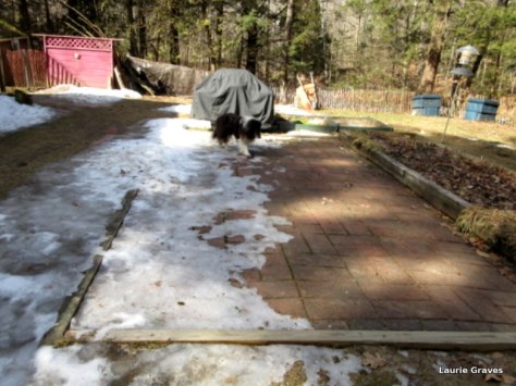 Patio, March 1, 2016