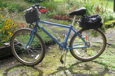 Blue Beauty, from a past summer