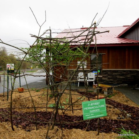 Railroad Square's new permaculture garden